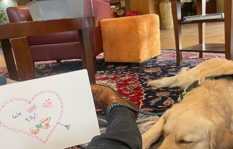 Hospital Programs with Canine Partners of the Rockies