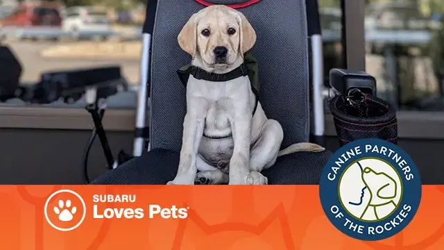 Schomp Subaru supports Canine Partners of the Rockies
