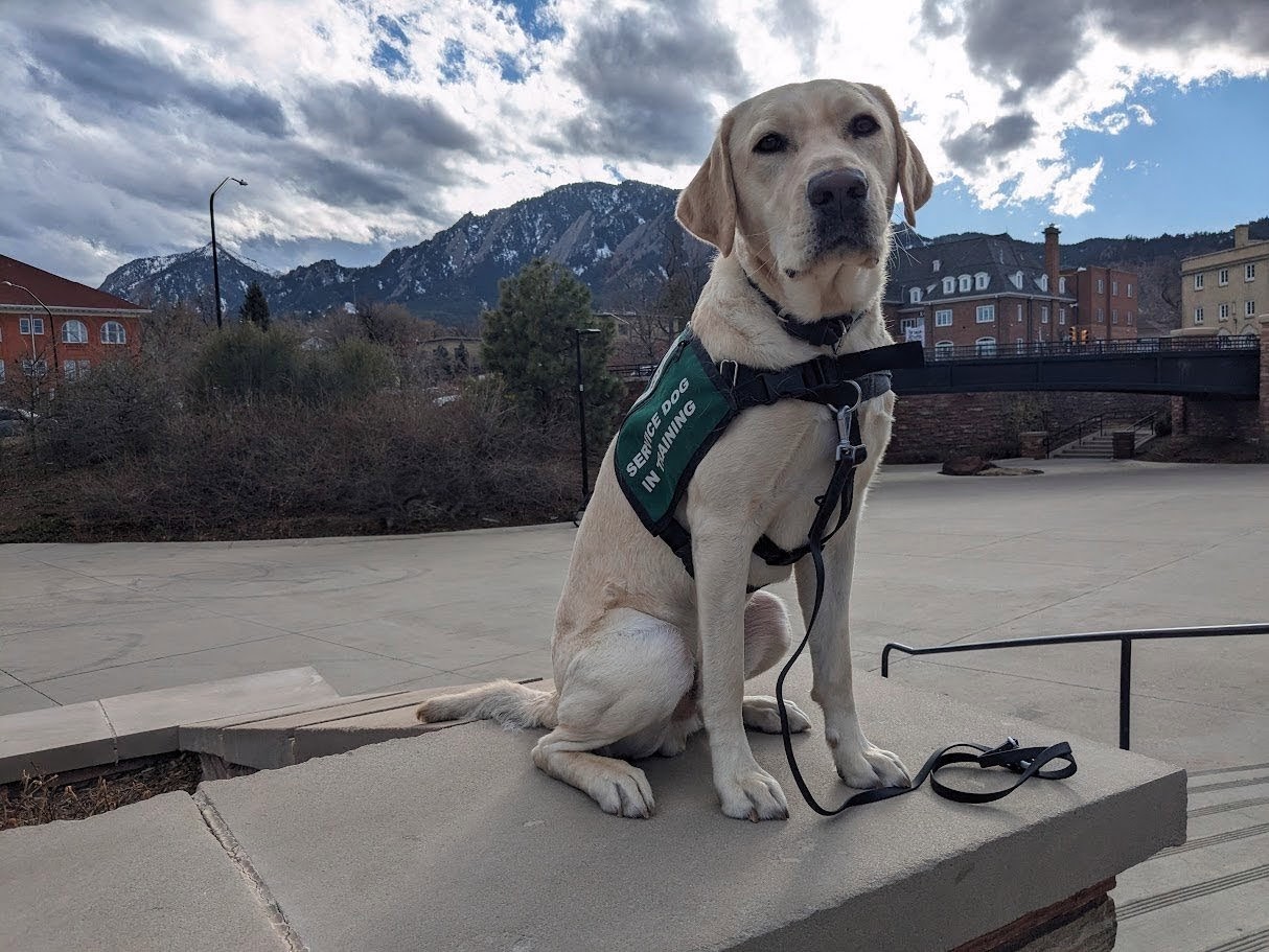 Canine Partners of the Rockies service dog