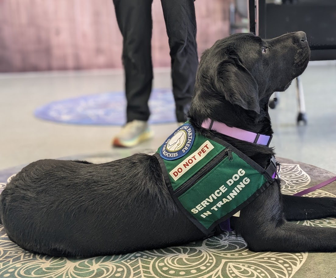 Canine Partners of the Rockies service dog